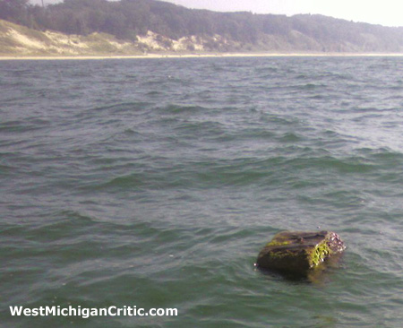 Big log in Lake Michigan