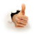 Thumbs Up on in-house electronic discovery!