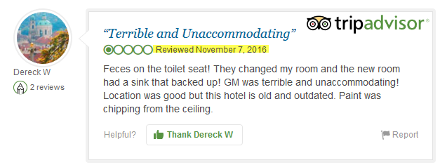 A tripadvisor review of poop on the toilet seat at the Park Place Hotel in Traverse City